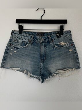 Abercrombie and Fitch Low Rise Shorts Size 30 New Y2K
